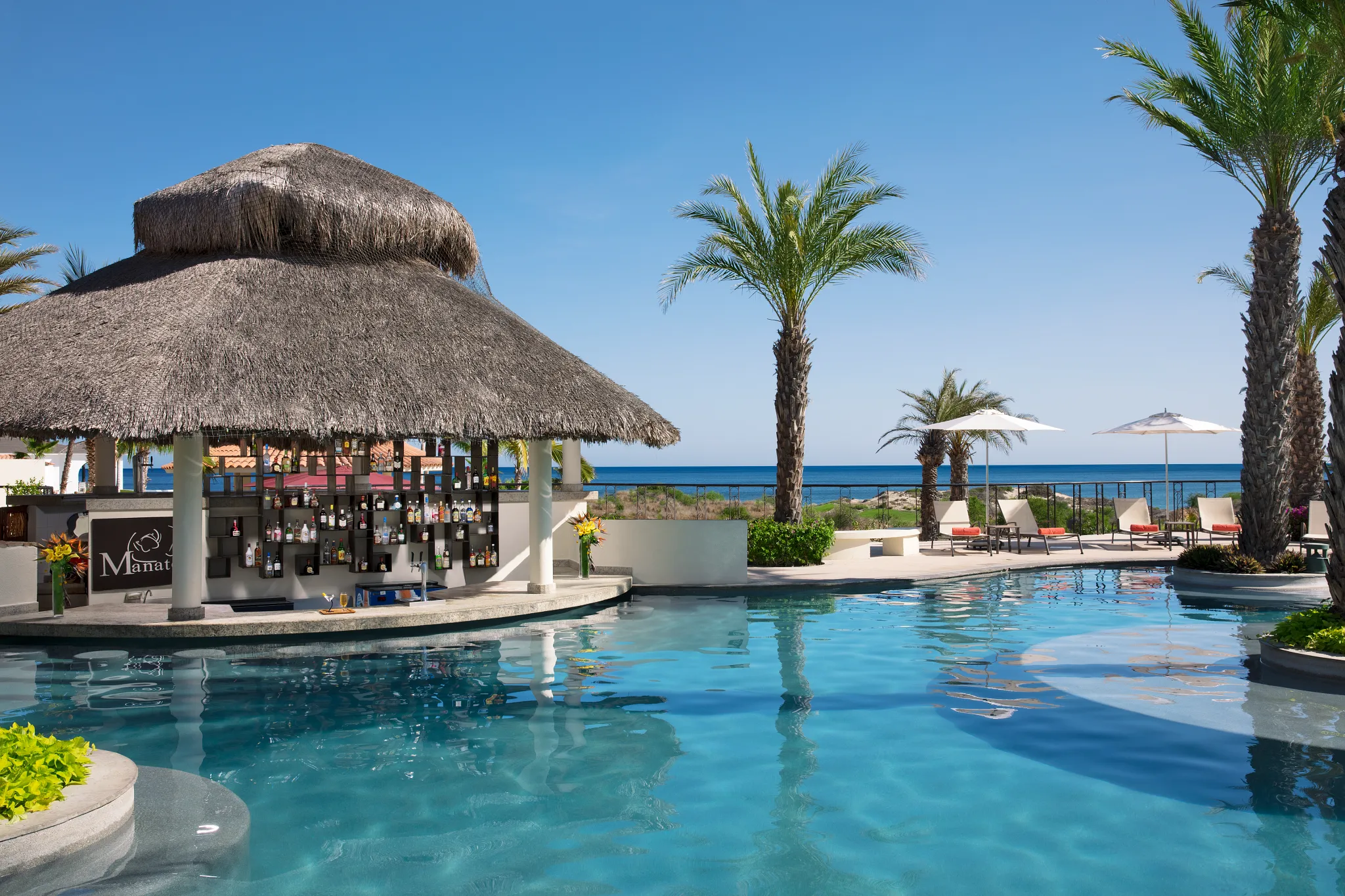 Manatees at Ultra Luxury Puerto Los Cabos Golf & Spa Resort